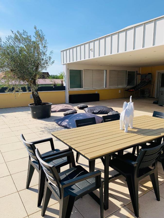 La Terrasse Du Parc Apartment Marckolsheim Bagian luar foto